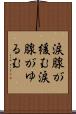 涙腺が緩む Scroll