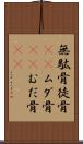 無駄骨 Scroll