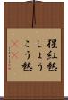 猩紅熱 Scroll