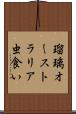瑠璃オーストラリア虫食い Scroll