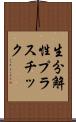 生分解性プラスチック Scroll