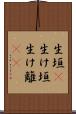 生垣(P) Scroll
