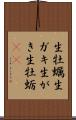 生牡蠣 Scroll