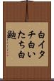 白イタチ Scroll