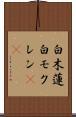 白木蓮 Scroll