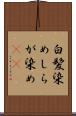 白髪染め Scroll