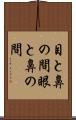 目と鼻の間 Scroll