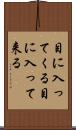 目に入ってくる Scroll