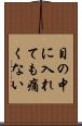 目の中に入れても痛くない Scroll