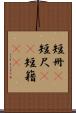 短冊(P) Scroll