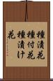 種漬花 Scroll