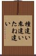 種違い Scroll