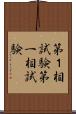第１相試験 Scroll