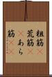 粗筋(P) Scroll