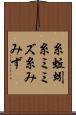 糸蚯蚓 Scroll