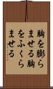 胸を膨らませる Scroll