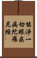 能淨一切眼疾病陀羅尼經 Scroll