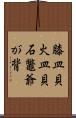 膝皿貝 Scroll