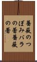 薔薇のつぼみ Scroll