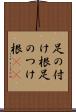 足の付け根 Scroll