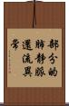 部分的肺静脈還流異常 Scroll