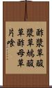 酢漿草 Scroll