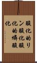 酸化的リン酸化 Scroll