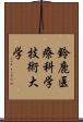 鈴鹿医療科学技術大学 Scroll