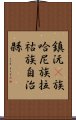 鎮沅彞族哈尼族拉祜族自治縣 Scroll