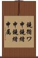鐃循ワ申鐃緒申鐃緒申属 Scroll