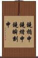 鐃楯￥申鐃緒申鐃瞬刻申 Scroll