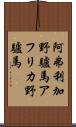 阿弗利加野驢馬 Scroll