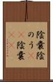 陰嚢 Scroll