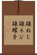 雄ねじ Scroll
