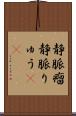 静脈瘤 Scroll
