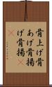 骨上げ Scroll