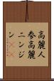 高麗人参 Scroll