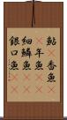 鮎(P) Scroll