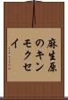 麻生原のキンモクセイ Scroll