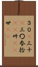 ３０(P) Scroll