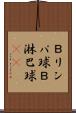 Ｂリンパ球 Scroll