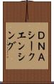 ＤＮＡシークエンシング Scroll
