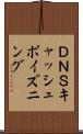 ＤＮＳキャッシュポイズニング Scroll
