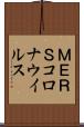 ＭＥＲＳコロナウイルス Scroll