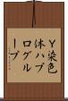 Ｙ染色体ハプログループ Scroll