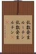 乱数発生ルーチン Scroll