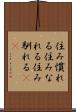 住み慣れる Scroll