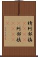 棈 Scroll