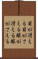 目が冴える;目がさえる;眼が冴える;眼がさえる Scroll