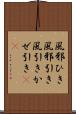 風邪ひき Scroll